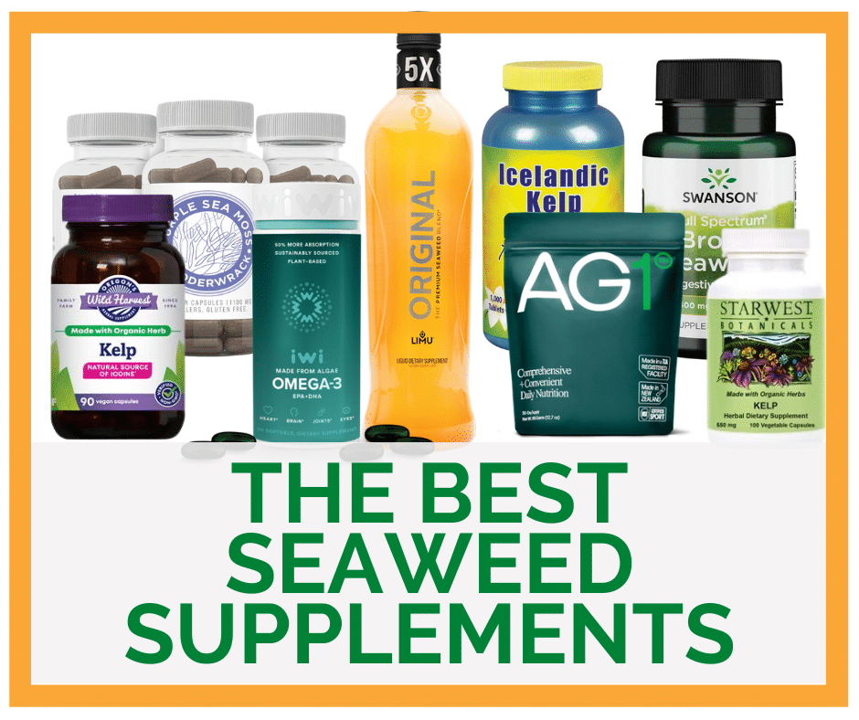 The Best Seaweed Supplements Blog Post Cover Art